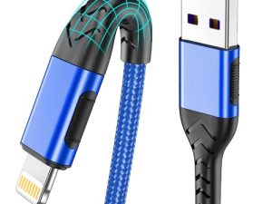 iPhone Charger