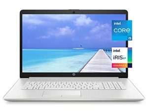 HP Pavilion 17.3-inch IPS FHD Laptop (2022 Model)