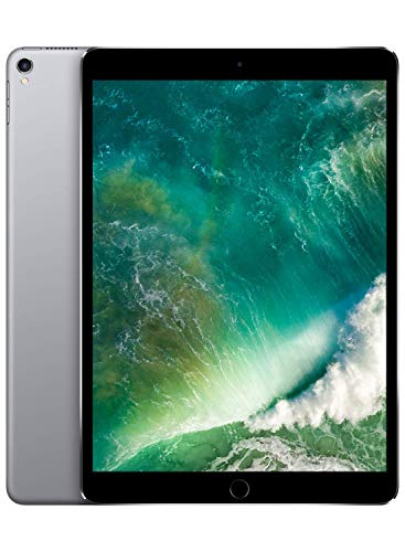Apple iPad Pro 10.5in - 256GB Wifi - 2017 Model - Gray (Renewed) Apple iPad Pro 10.5in - 256GB Wifi - 2017 Model - Gray (Renewed)