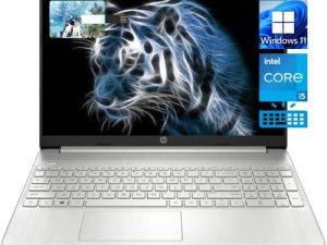 2022 HP Pavilion 17.3 inch IPS FHD Laptop