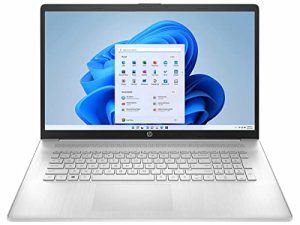 HP 2022 High Performance Business Laptop - 17.3" HD+ Touchscreen - 10-Core 12th Intel i7-1255U Iris Xe Graphics - 64GB DDR4 - 2TB SSD - WiFi 6 Bluetooth - Backlit Keyboard - Win 11 Pro w/ 32GB USB