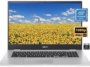 2022 Flagship ASUS Chromebook Light Laptop