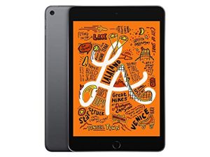 Apple iPad mini 7.9 inches (Early 2019 ) 256GB