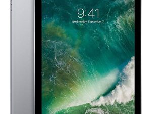 Apple iPad 9.7in with WiFi