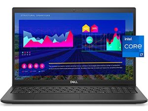 2021 Newest Dell Business Laptop Latitude 3520